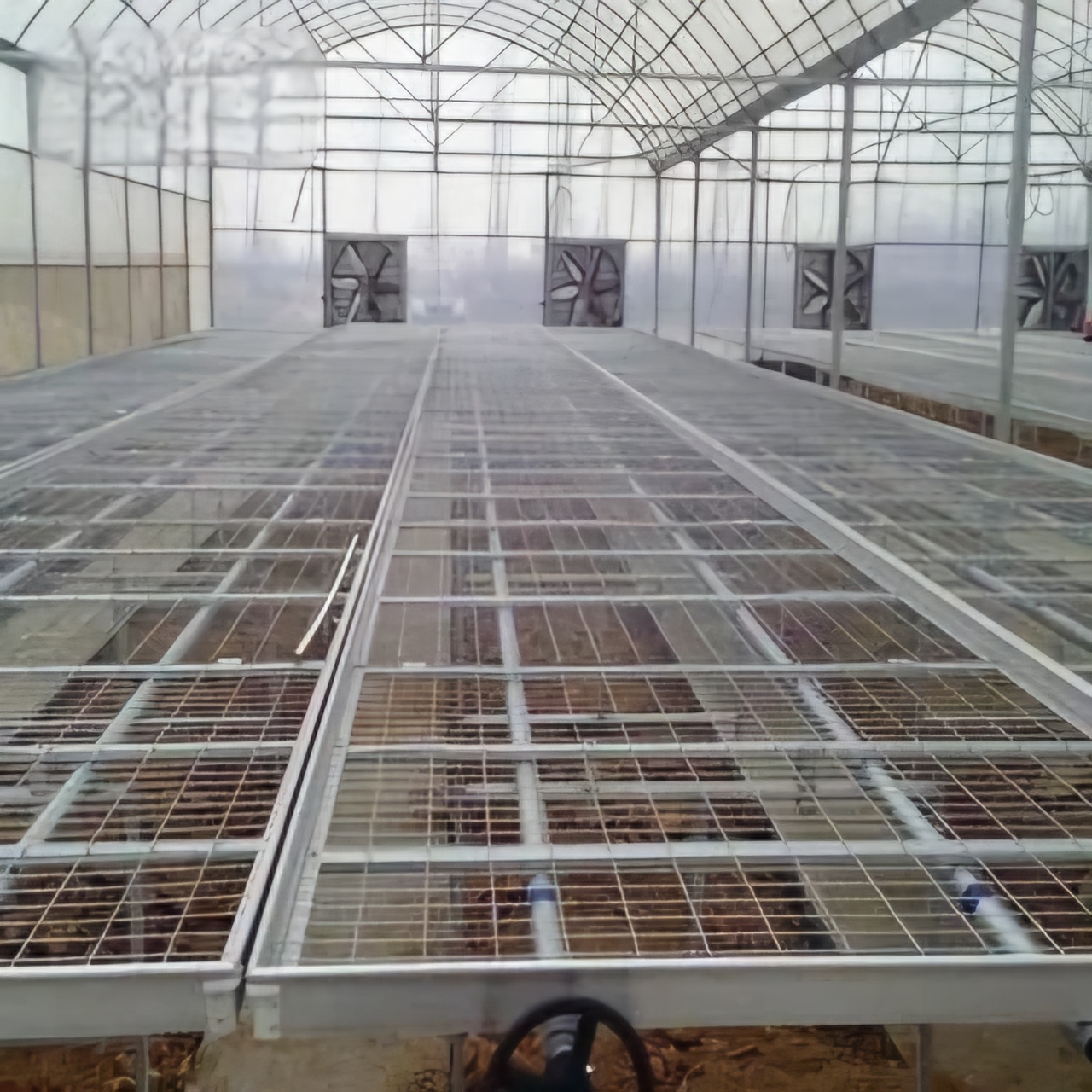 تصویر 4 از فروش صفر تا صد تجهیزات گلخانه‌ + خرید مستقیم و ارزان